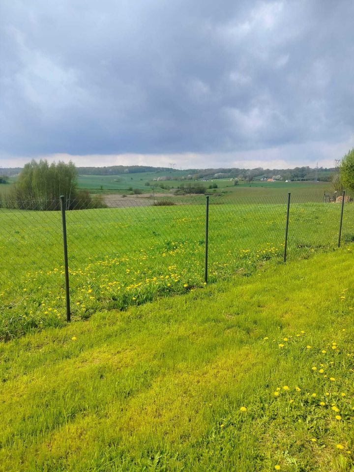 Działka budowlana Rybno. Zdjęcie 2