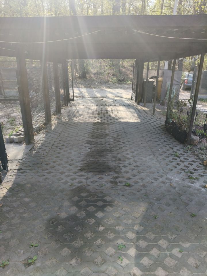 bliźniak, 4 pokoje Lasek, Jesieni. Zdjęcie 13