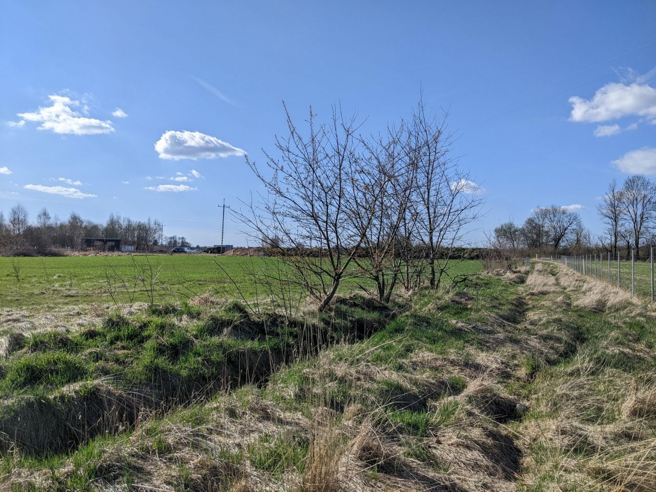 Działka budowlana Wolimierz. Zdjęcie 3