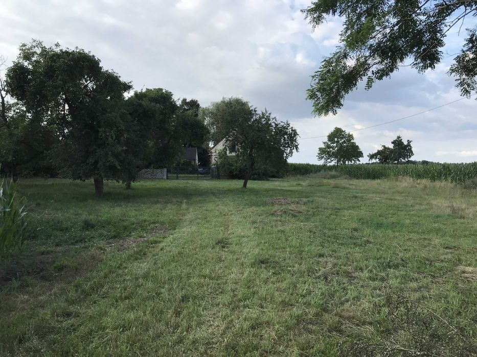 Działka inwestycyjna Karszew. Zdjęcie 4