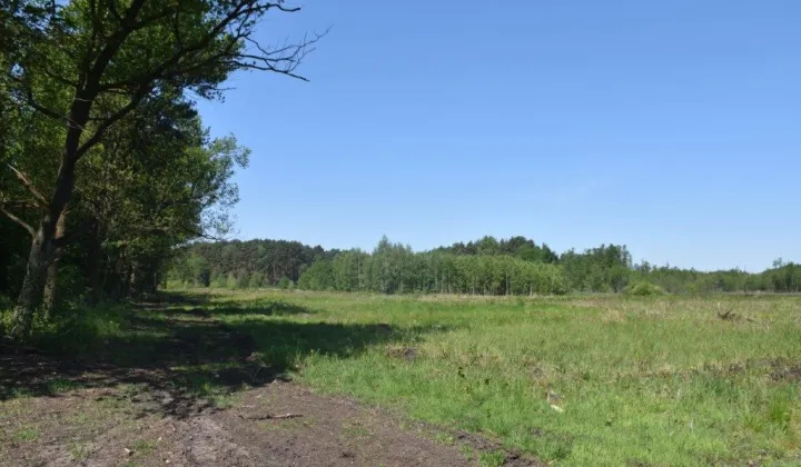 Działka inwestycyjna Chełm Żarski