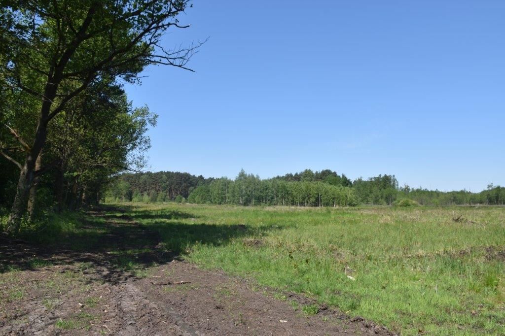 Działka inwestycyjna Chełm Żarski. Zdjęcie 1