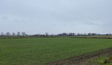 Działka rolna Żelazków