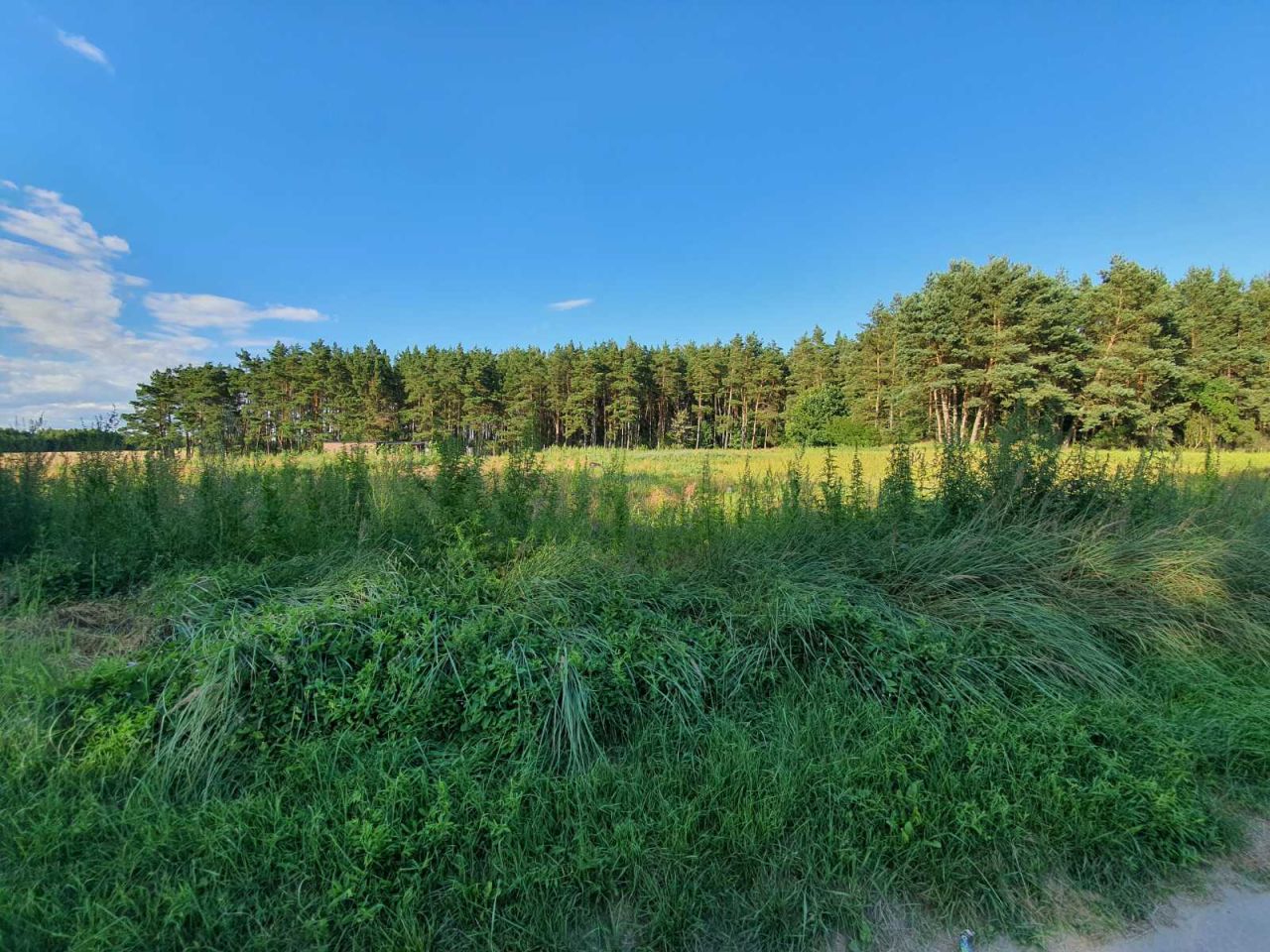 Działka budowlana Gorczeniczka. Zdjęcie 6