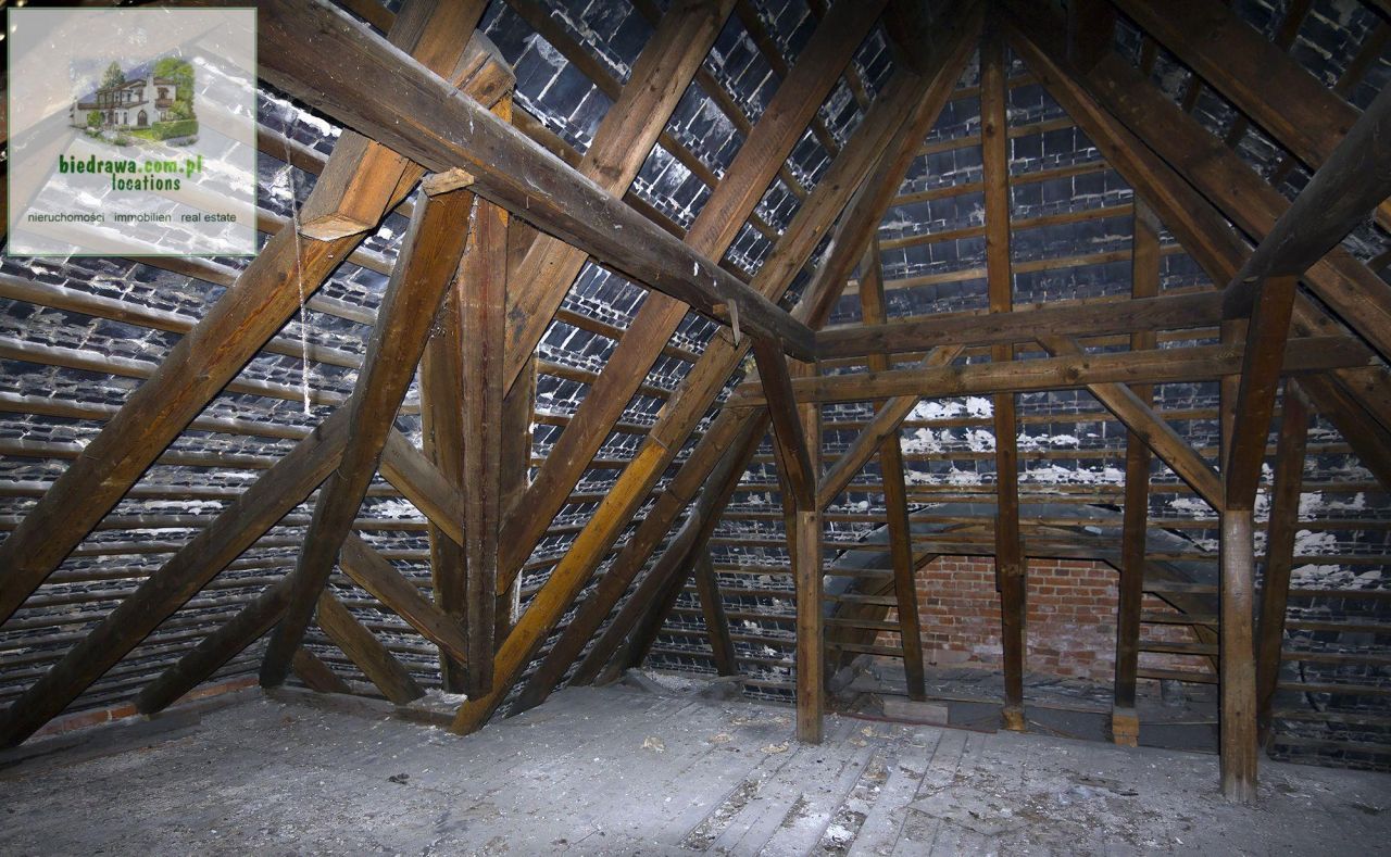 Lokal Duszniki-Zdrój. Zdjęcie 12