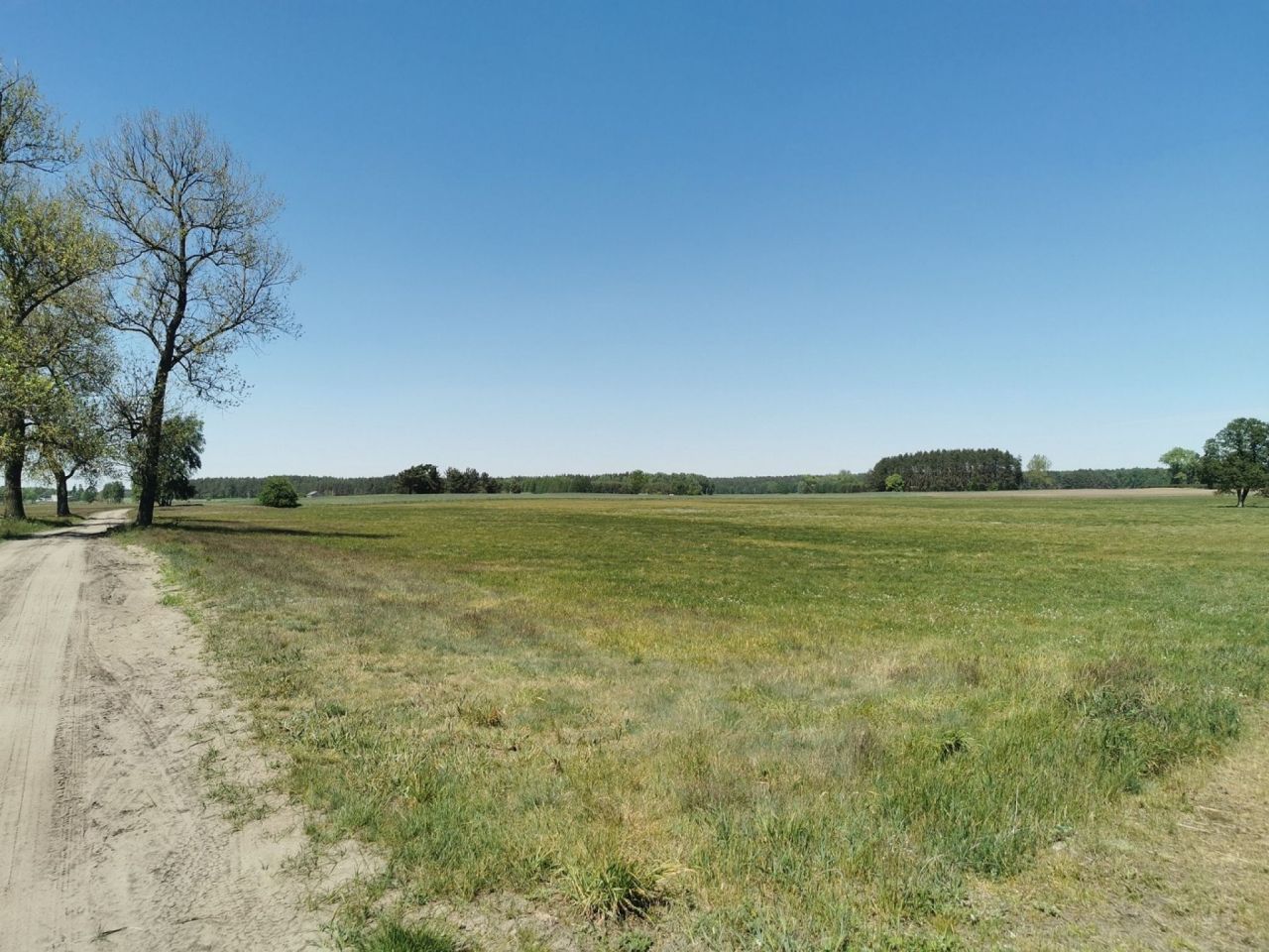 Działka rolna Święta. Zdjęcie 5