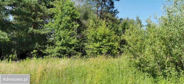Działka budowlana Łbiska, ul. Jana Olbrachta. Zdjęcie 1
