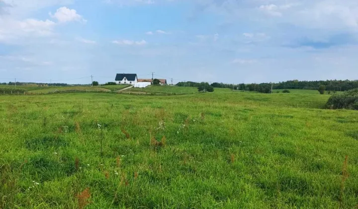 Działka rolno-budowlana Karwie Gwiazdowo