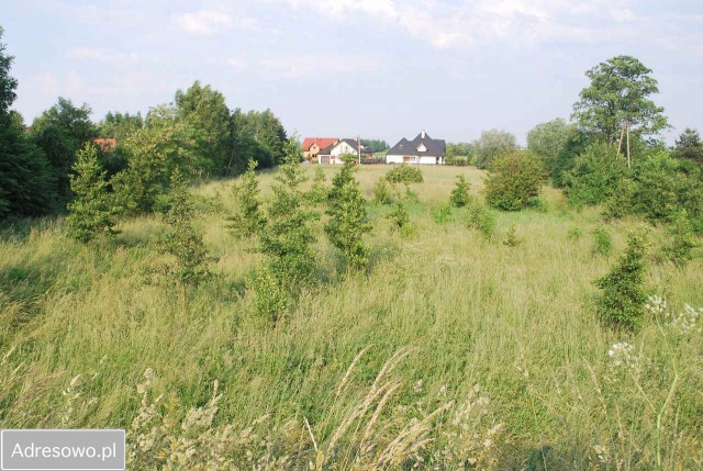 Działka rolno-budowlana Niepołomice Podgrabie. Zdjęcie 1