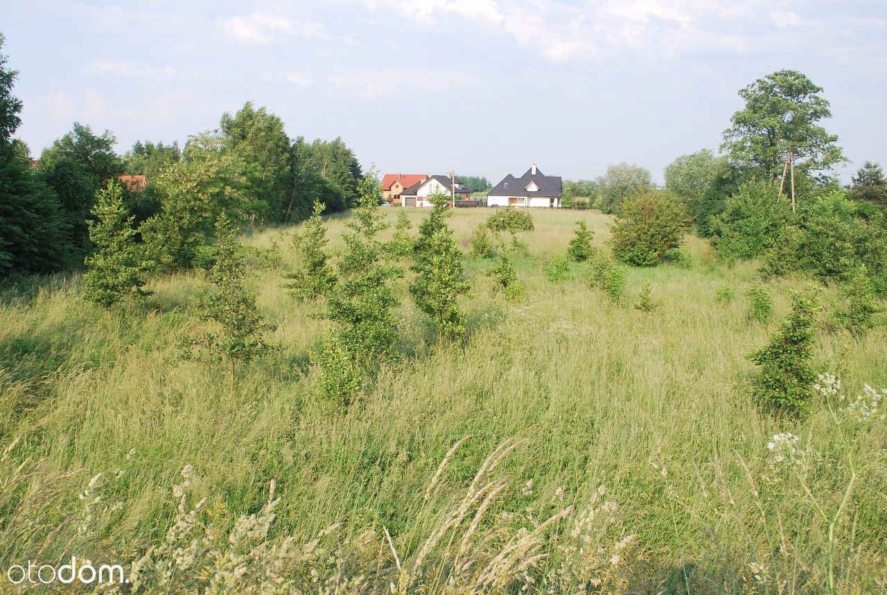 Działka rolno-budowlana Niepołomice Podgrabie
