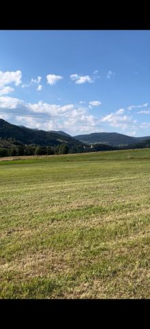 Działka budowlana Muszyna. Zdjęcie 1