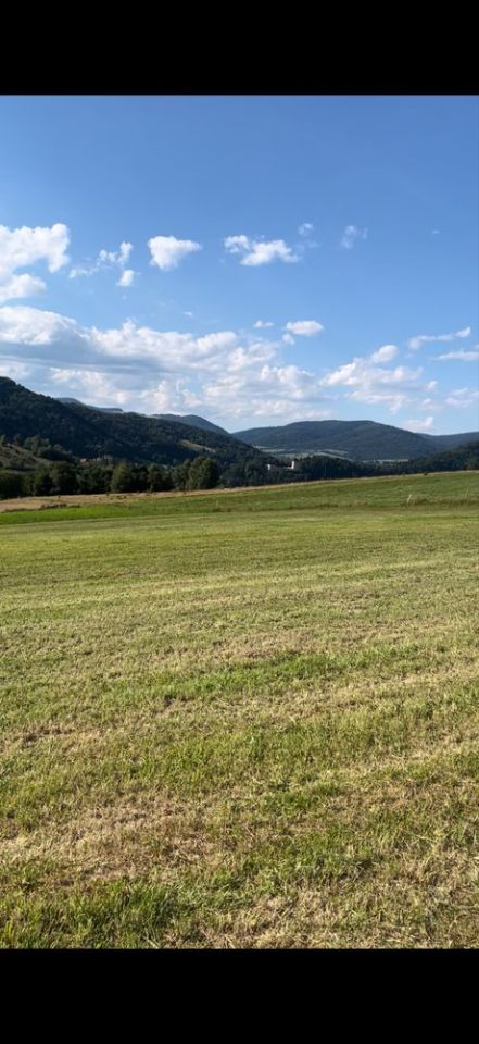 Działka budowlana Muszyna. Zdjęcie 1