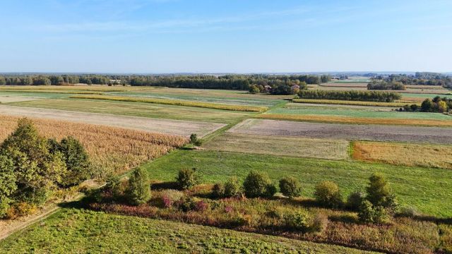 Działka Gwizdów. Zdjęcie 3