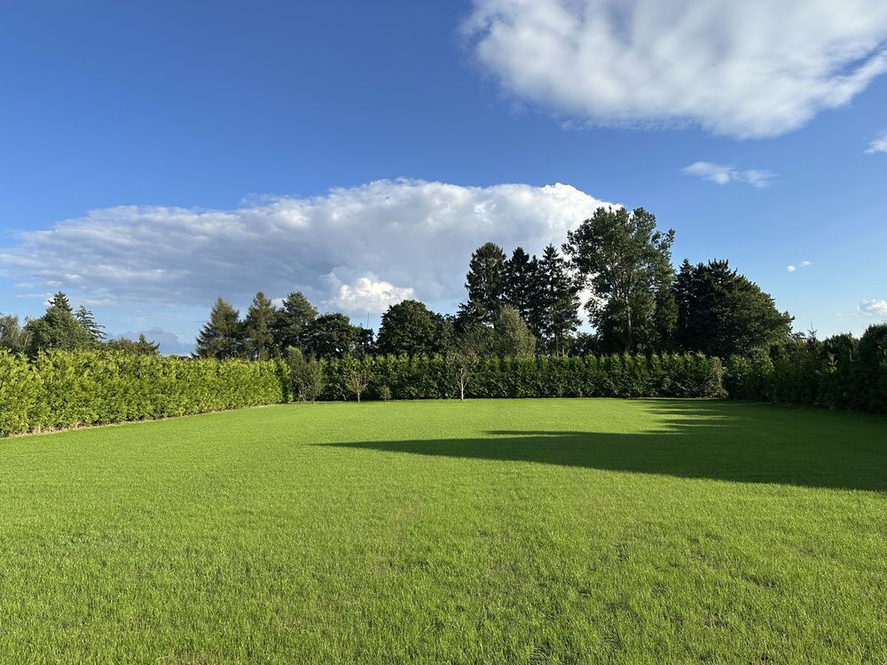 Działka budowlana Ząbrowo. Zdjęcie 7