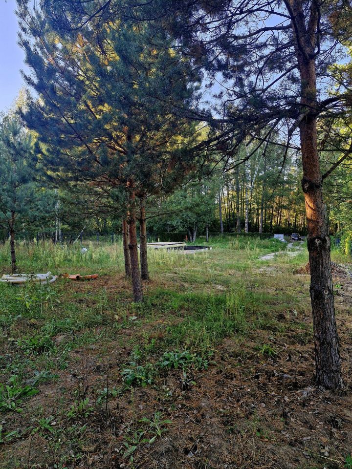 Działka budowlana Orzeszkowo. Zdjęcie 2