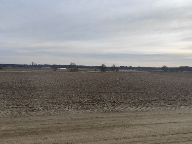 Działka rolna Boruszyn. Zdjęcie 1