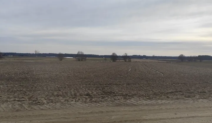 Działka rolna Boruszyn