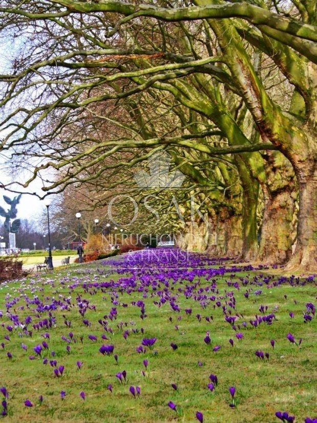 Mieszkanie 2-pokojowe Szczecin Centrum. Zdjęcie 15