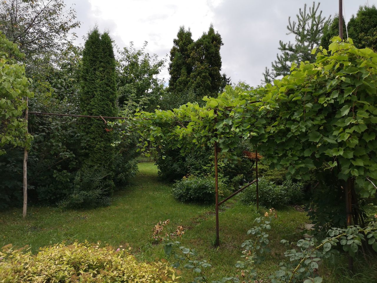 Działka budowlana Nasielsk, ul. Polskiej Organizacji Wojskowej. Zdjęcie 9