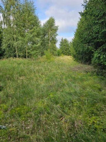 Działka budowlana Oświno. Zdjęcie 11