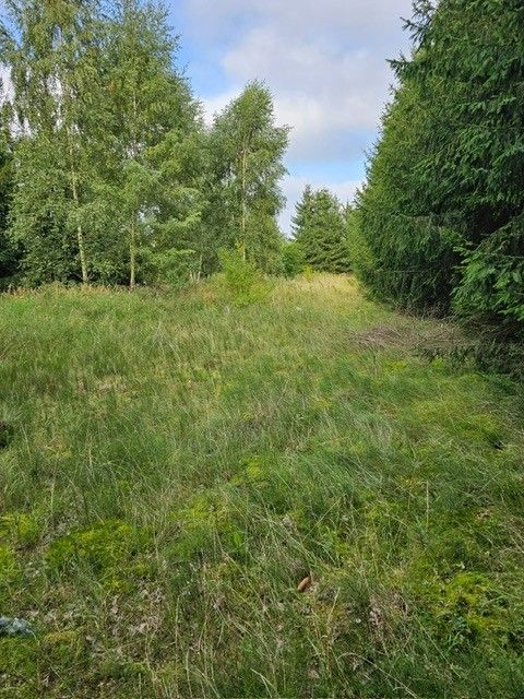 Działka budowlana Oświno. Zdjęcie 11