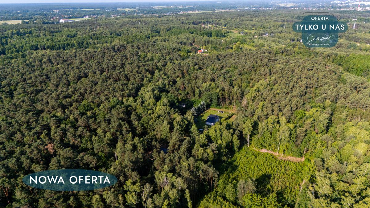 Działka budowlana Sokolniki-Las, ul. Klonowa. Zdjęcie 8