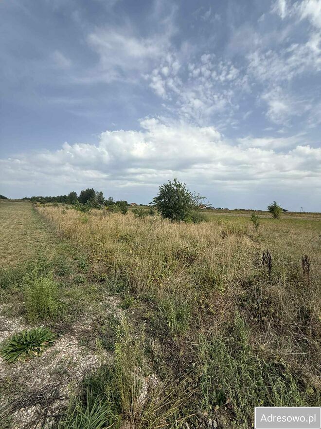 Działka rolno-budowlana Tokarnia. Zdjęcie 3