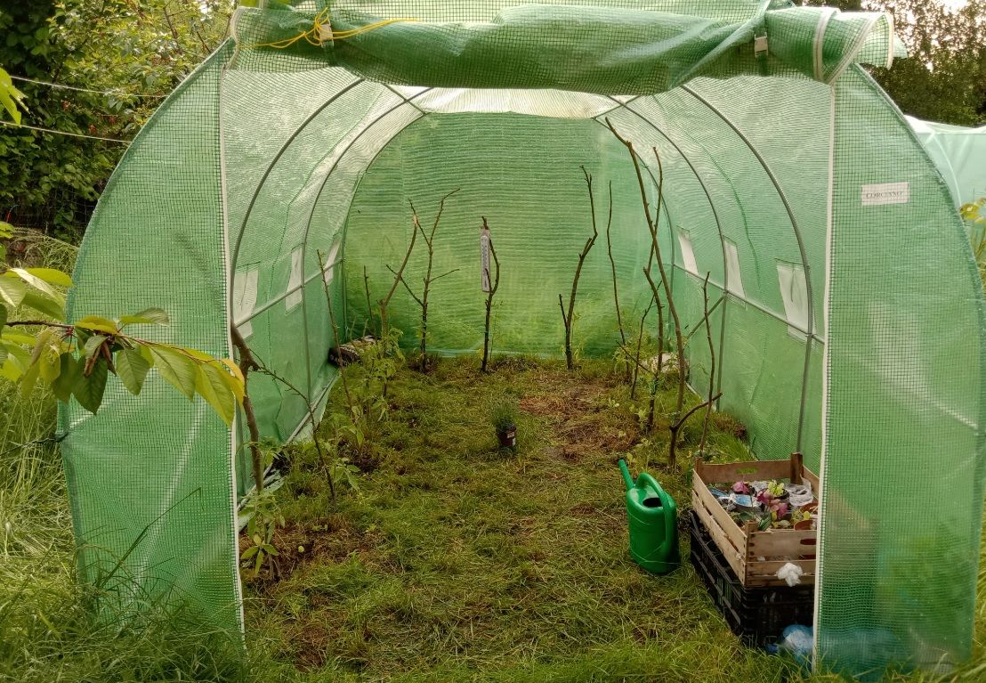 Działka rekreacyjna Szczecin Warszewo, ul. Leśna. Zdjęcie 2