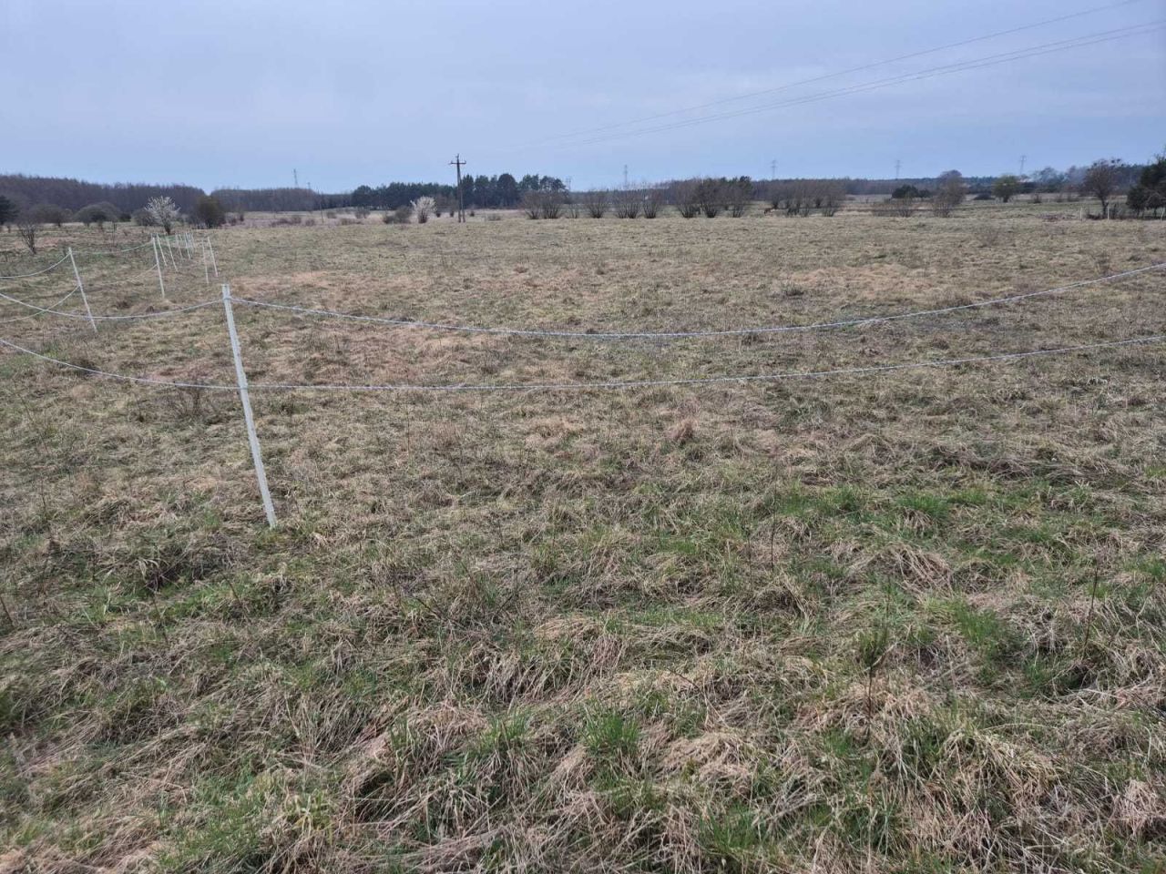 Działka budowlana Chocień. Zdjęcie 2