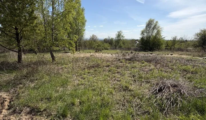 Działka budowlana Wola Zachariaszowska, ul. Akacjowa
