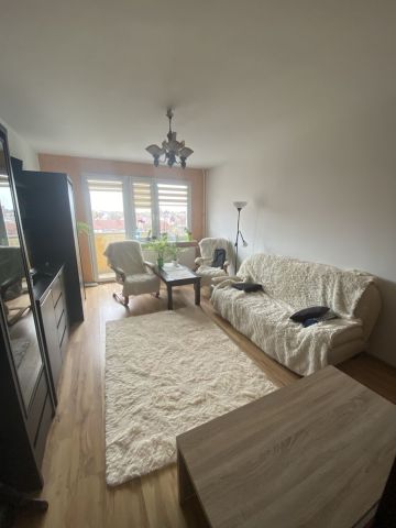 Mieszkanie 2-pokojowe Łódź Feliksin, al. Tadeusza Kościuszki. Zdjęcie 1