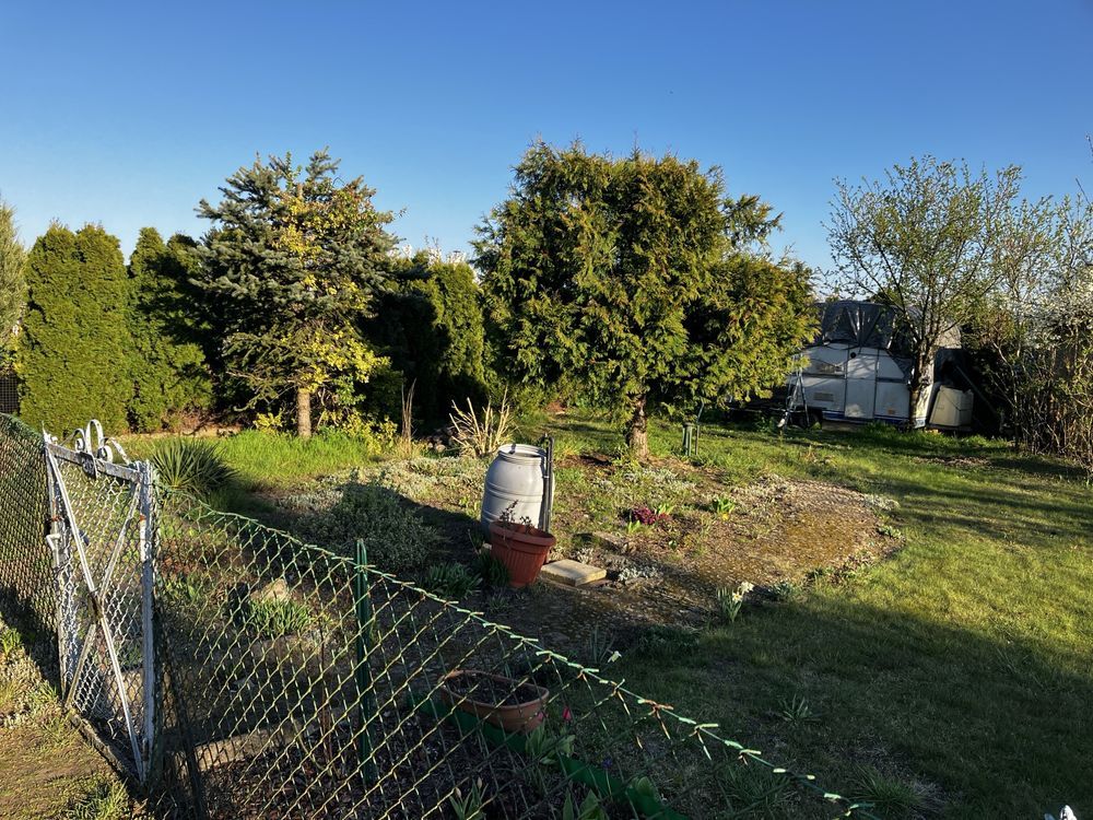 Działka rod Leszno Leszczynko, ul. Dożynkowa. Zdjęcie 2