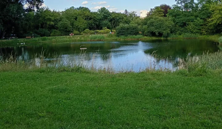 Działka rod Warszawa Mokotów, ul. Idzikowskiego