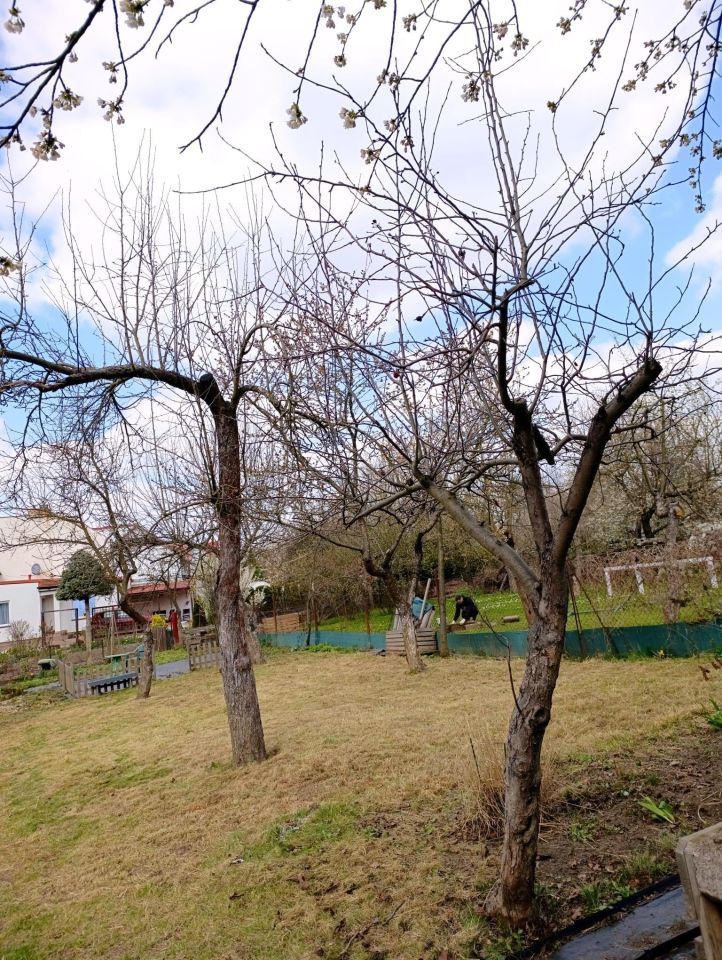 Działka rod Nysa, ul. Władysława Jagiełły. Zdjęcie 6