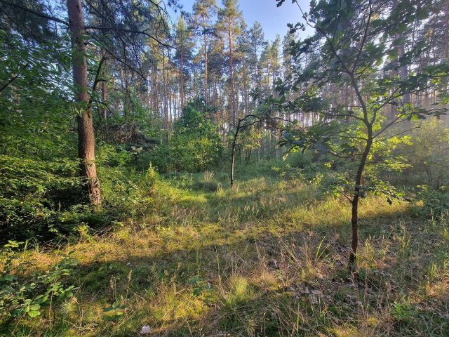 Działka budowlana Przybynów. Zdjęcie 1