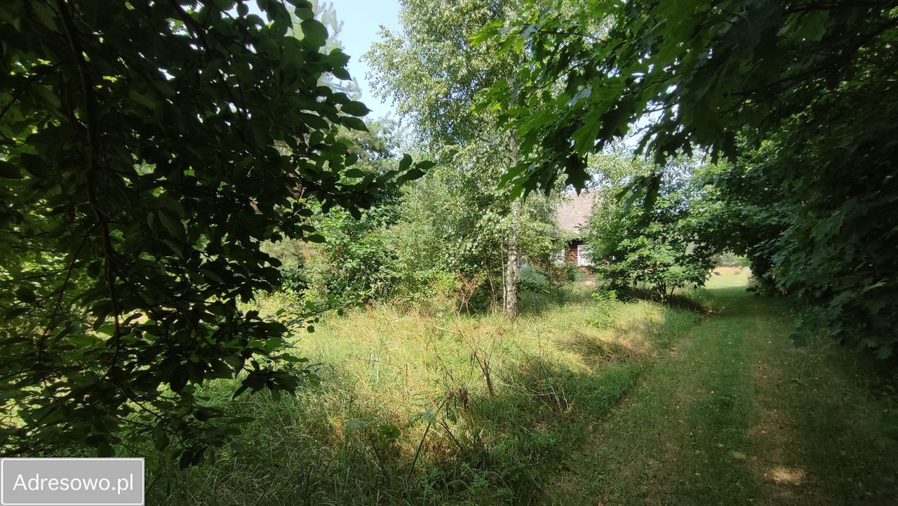 Działka budowlana Milejczyce. Zdjęcie 8