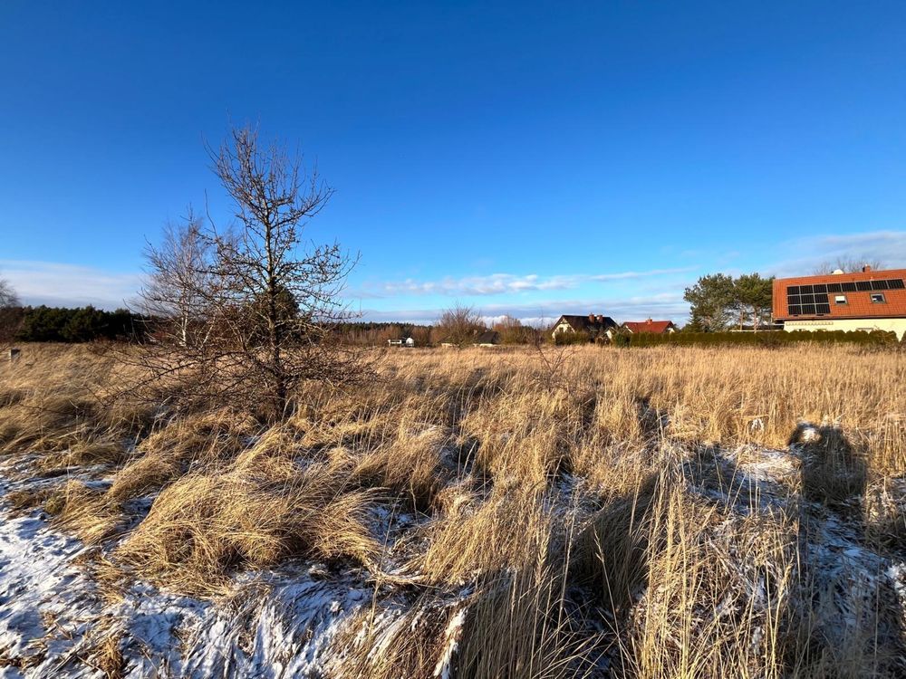 Działka rolno-budowlana Dołuje. Zdjęcie 3