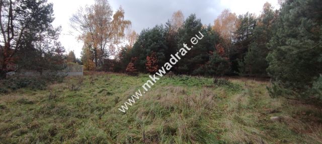 Działka budowlana Tłumy. Zdjęcie 7