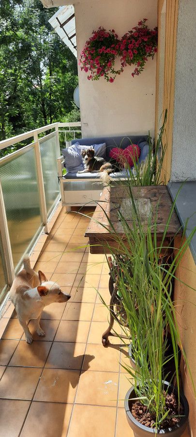 Mieszkanie 3-pokojowe Nowy Sącz Gorzków, ul. 1 Brygady. Zdjęcie 3