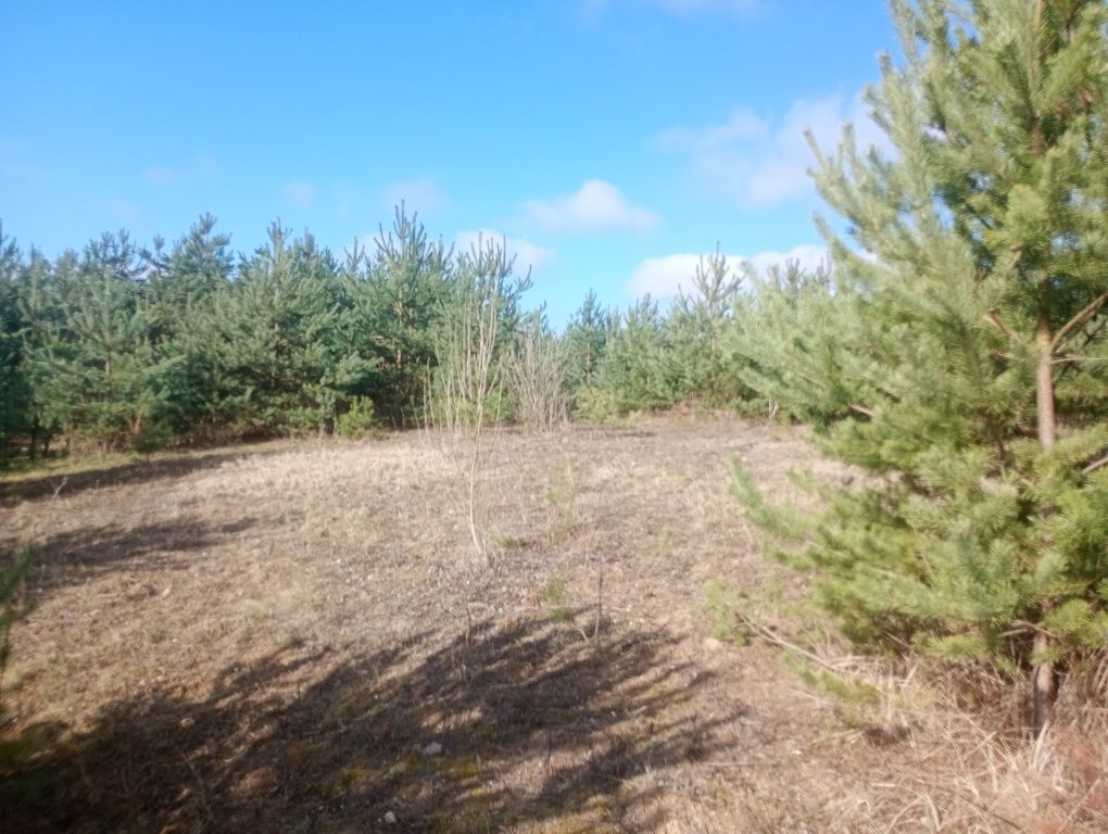 Działka budowlana Żabno. Zdjęcie 8