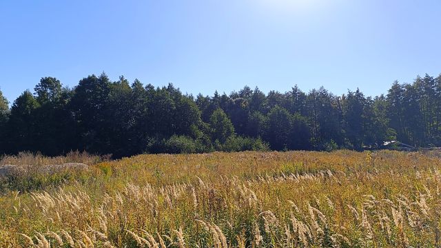 Działka budowlana Szczytno. Zdjęcie 1