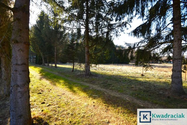 siedlisko, 3 pokoje Tyrawa Solna. Zdjęcie 7