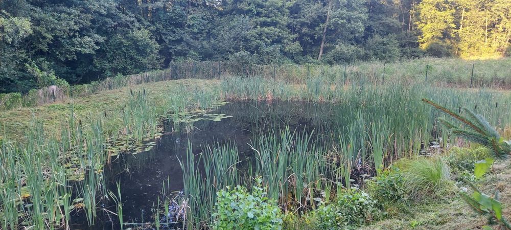 Działka budowlana Ruda. Zdjęcie 2