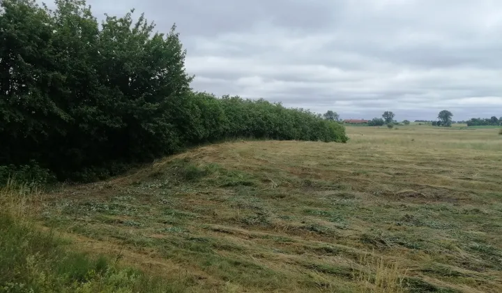 Działka rekreacyjna Szymonka