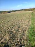 Działka rolna Chomentów. Zdjęcie 3