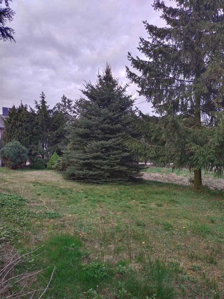 Działka rolno-budowlana Kręgi. Zdjęcie 8