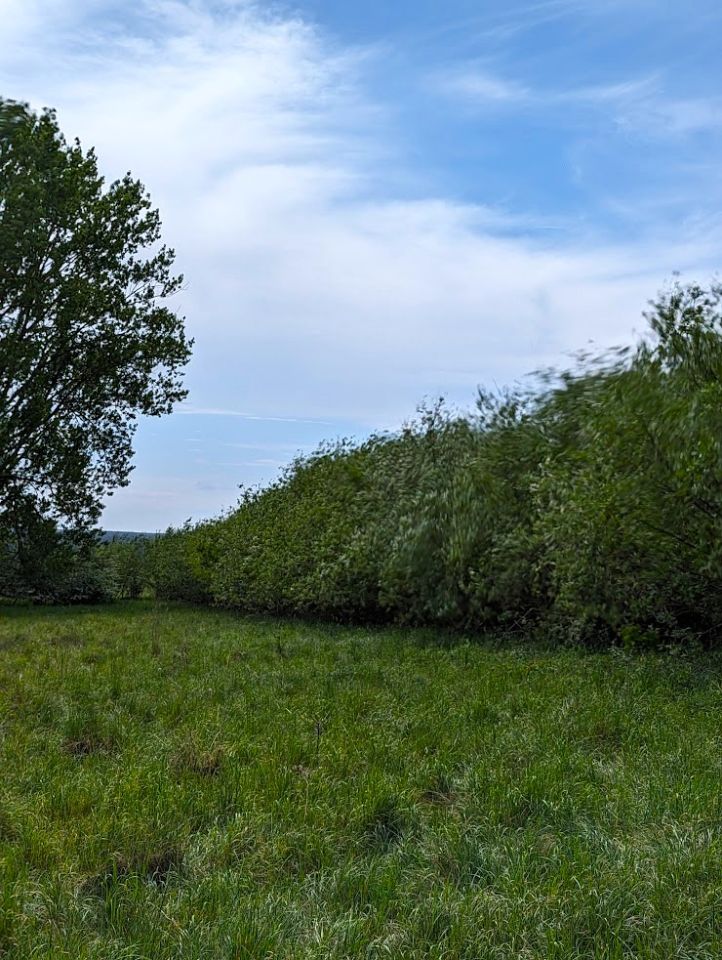 Działka budowlana Strońsko. Zdjęcie 4