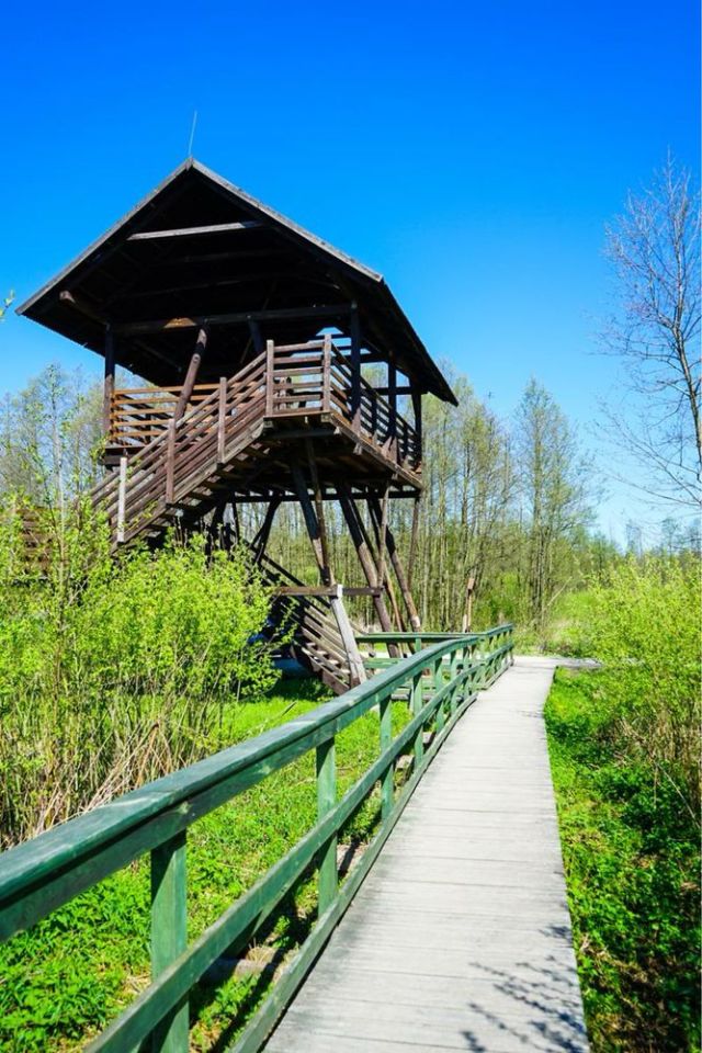 Działka budowlana Podbiel. Zdjęcie 6