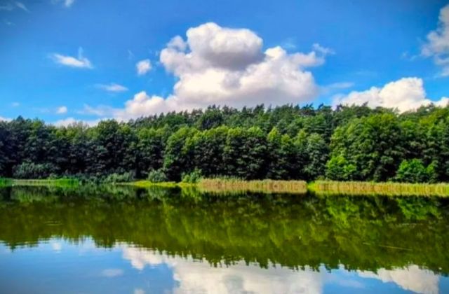 Działka budowlana Łopatki Polskie Łopatki-Osada. Zdjęcie 1