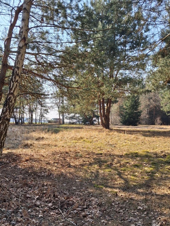 Działka budowlana Ossówno. Zdjęcie 7